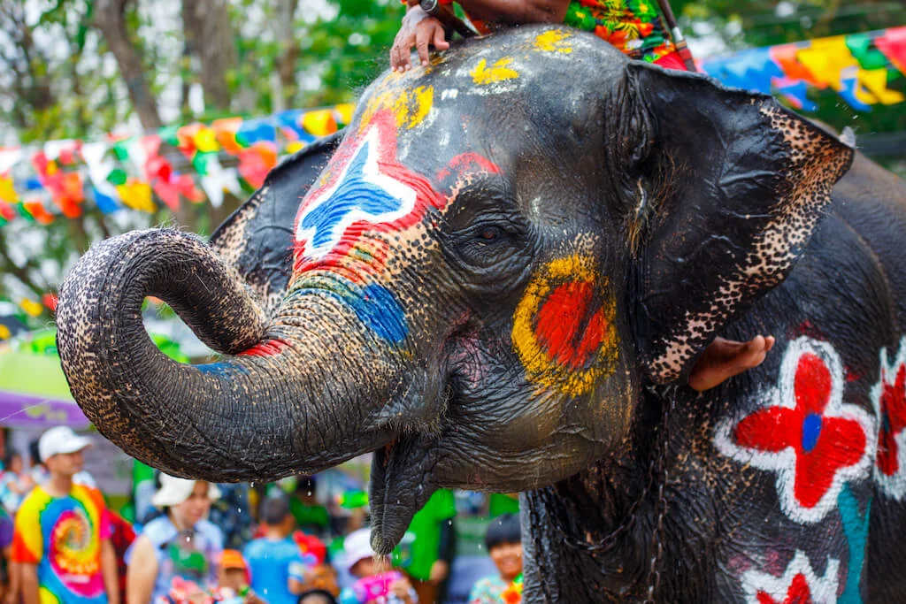 elephant-with-people-splashing-water-during-songkran-festival-in-ayutthaya-thailand