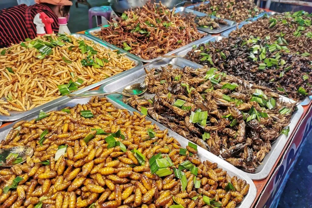 Ma-Lang Tod (Fried Insects)