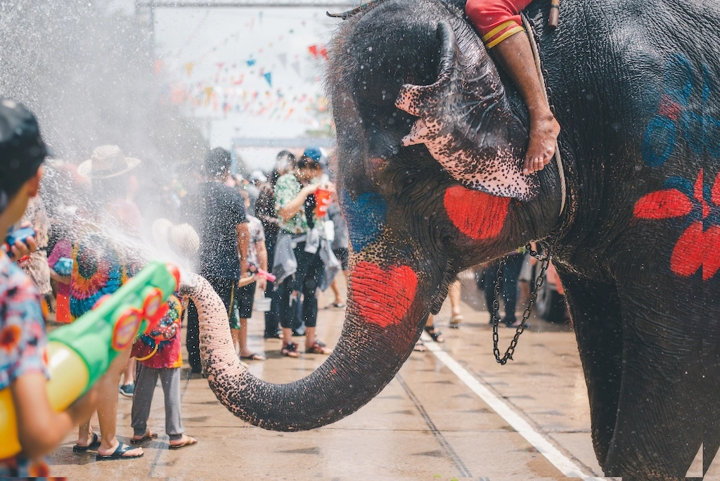 Pattaya Wan Lai Festival